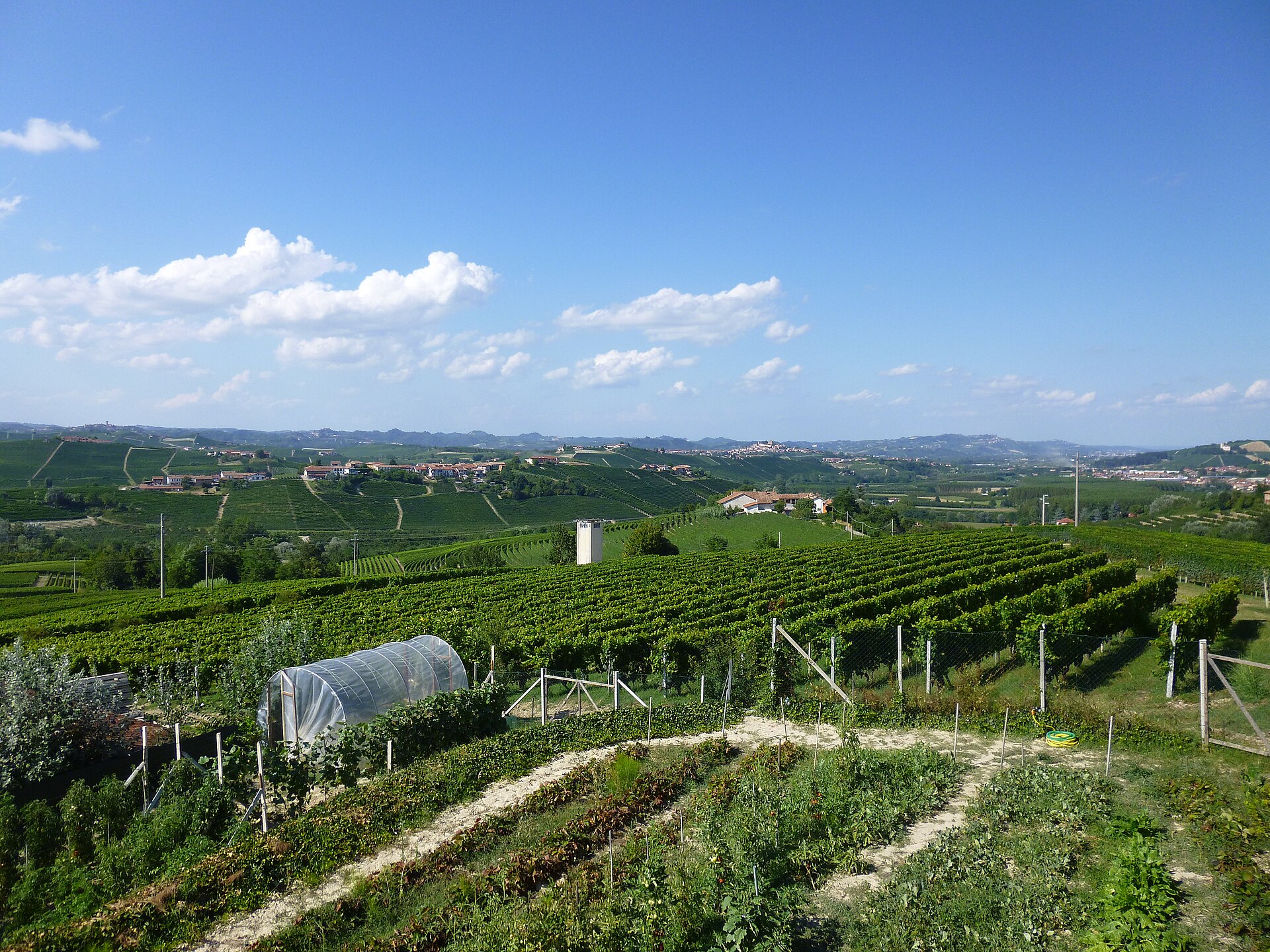 Colinas com vinhedos e construções rurais das Langhe vistas de La Morra