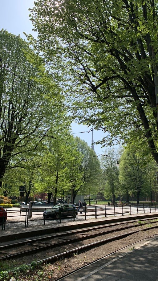 Trilhos de bonde junto a uma área arborizada em Turim