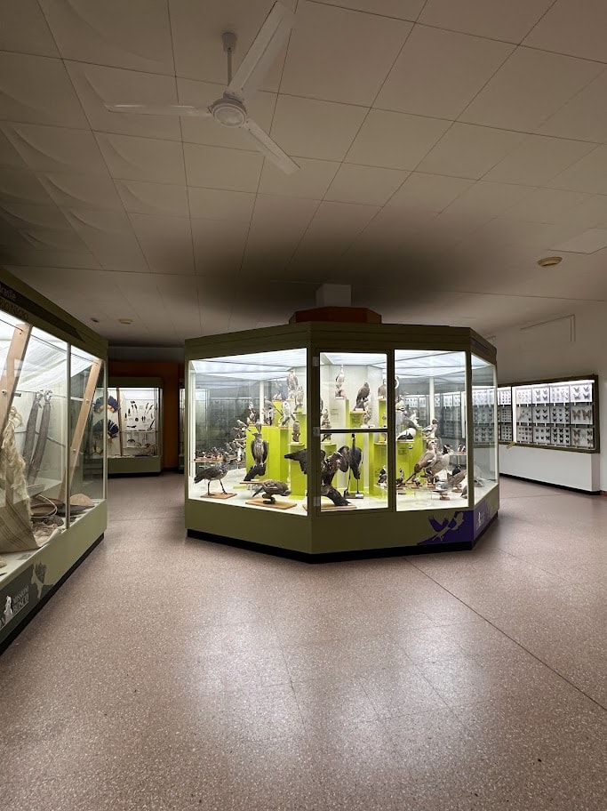 Sala do museu com vitrine central de aves e circulação ao redor