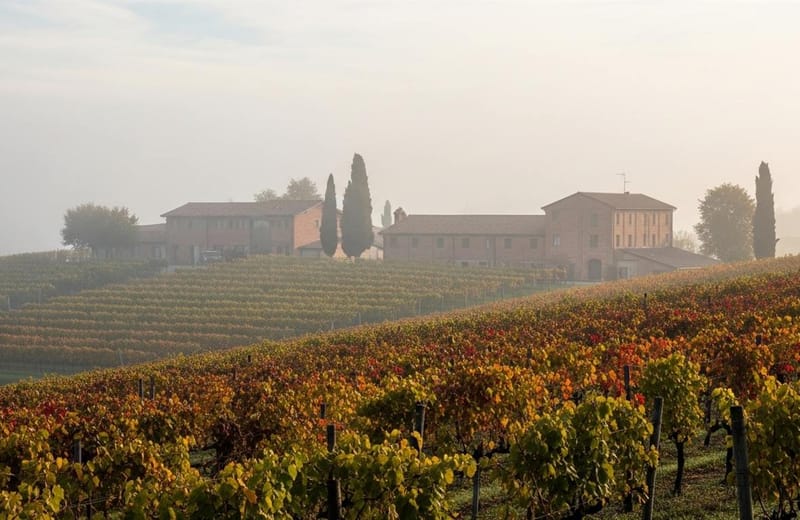 Colinas de Barbaresco - Bruno Rocca